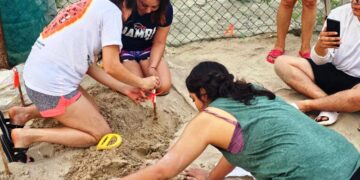 Colabora la UAT en el proyecto de conservación de la tortuga lora