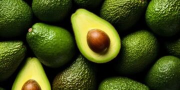 Michoacán alista reactivación de certificación para exportación de aguacates a EE.UU.