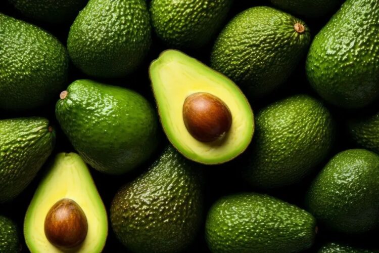 Michoacán alista reactivación de certificación para exportación de aguacates a EE.UU.