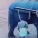 Sujeto es aplastado por un elefante en safari ilegal en la India
