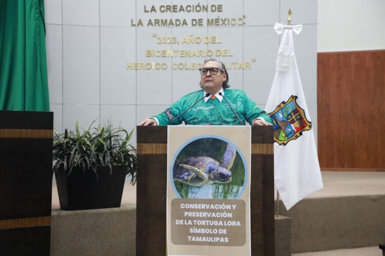 Reconoce Legislatura 65 labor para conservar la tortuga lora en Tamaulipas