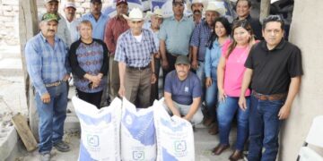 Reciben productores del altiplano semilla de avena forrajera