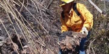 Colaboran brigadistas de la SEDUMA en contención de incendio forestal en Jaumave