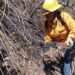 Colaboran brigadistas de la SEDUMA en contención de incendio forestal en Jaumave