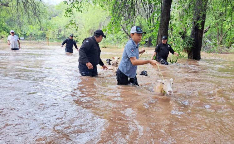 A través del Plan Tamaulipas Guardia Estatal realiza labores de auxilio en comunidades aledañas a ríos