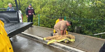 Guardia Estatal participa en retiro y traslado de cocodrilo en Tampico