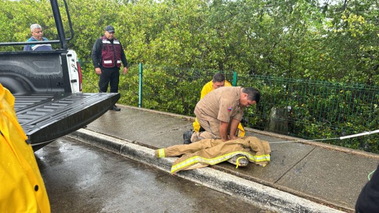 Guardia Estatal participa en retiro y traslado de cocodrilo en Tampico