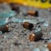 Nuevo León vive su día más violento de 2024; registra 14 homicidios en un día