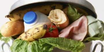 Se evitará desperdiciar millones de toneladas de comida con la nueva ley de alimentación en México