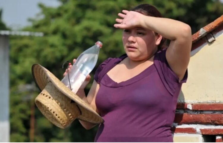 Suman 155 muertes por ola de calor en México; casi la mitad fueron en Veracruz