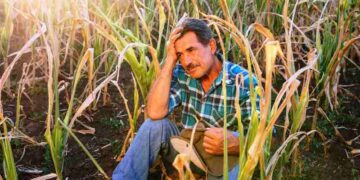 El cambio climático también es factor en la migración