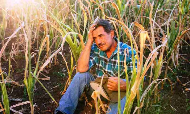 El cambio climático también es factor en la migración