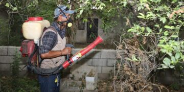 Recomienda SST eliminar criaderos y cacharros para evitar dengue