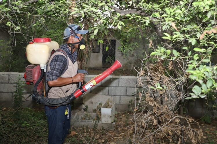 Recomienda SST eliminar criaderos y cacharros para evitar dengue