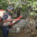 Recomienda SST eliminar criaderos y cacharros para evitar dengue