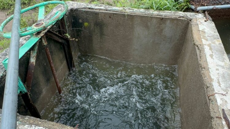 Incrementa el gasto de los manantiales La Peñita