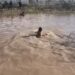 Aumento del nivel del río Bravo vuelve más peligroso intentar cruzarlo