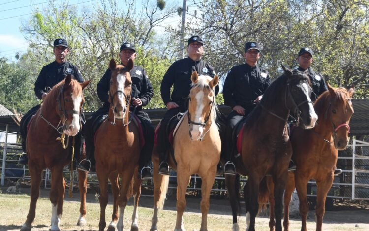 Agrupamiento montado de la Guardia Estatal mantiene proximidad permanente