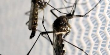 Aumentan casos de dengue 385%; alerta crece ante la temporada de huracanes