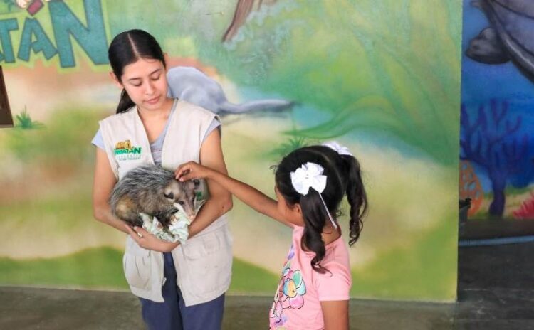 Disfruta de más de 100 especies en el zoológico Tamatán estas vacaciones
