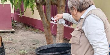 Llama SST a participación comunitaria para prevenir el dengue