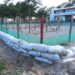 Refuerza Comisión de Parques protección en campos tortugueros de Tamaulipas