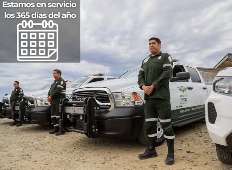 Fortalecen presencia de Ángeles Verdes para apoyar a turistas en carreteras