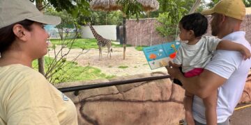 Nace jirafa en el zoológico Tamatán