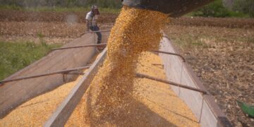 Amplían registro para el Programa de Precios de Garantía