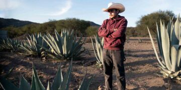 UAG impulsa la profesionalización del sector agavero