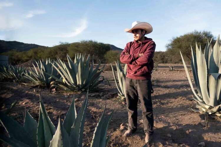 UAG impulsa la profesionalización del sector agavero