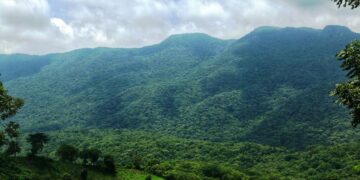 Actualiza SEDUMA programa para protección de Biósfera El Cielo