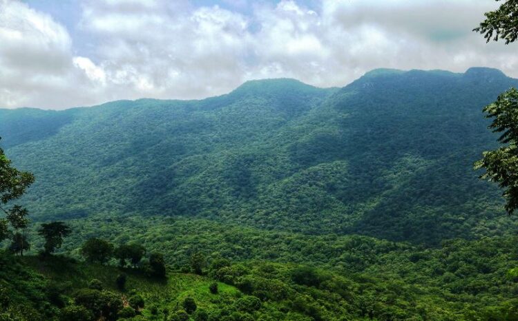 Actualiza SEDUMA programa para protección de Biósfera El Cielo