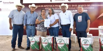 Impulsa Tamaulipas siembra de sorgo y maíz con la entrega de semilla de calidad