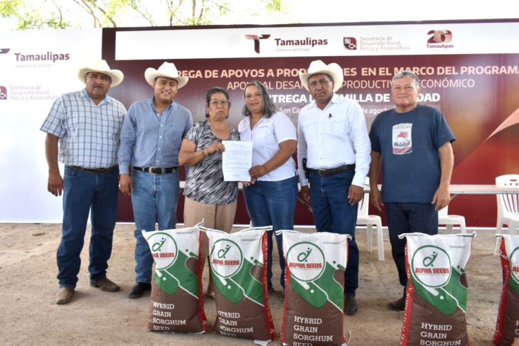 Impulsa Tamaulipas siembra de sorgo y maíz con la entrega de semilla de calidad