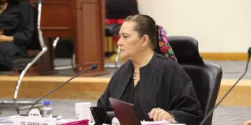 Respetar la Constitución es honrar la democracia y fortalecer a México: Guadalupe Taddei