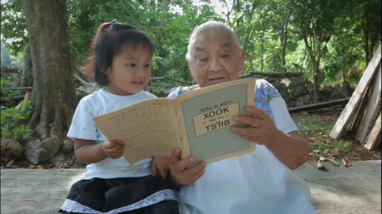 En México, Testigos de Jehová realizan cursos de alfabetización en español y en lenguas originarias