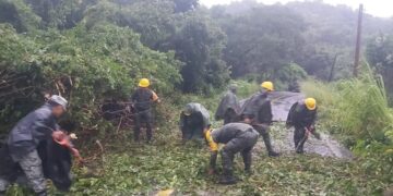 Reportan pérdida de mil 500 millones de pesos por paso de huracán John en Guerrero