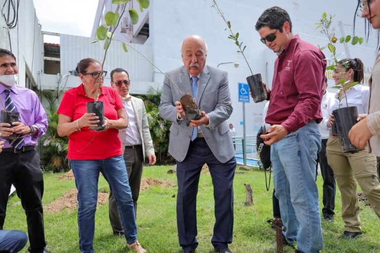 Participa Secretaría de Desarrollo Energético en reforestación del Hospital General