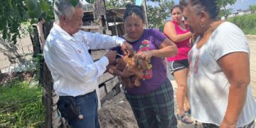 Aplicará la Secretaría de Salud más de 300 mil vacunas a mascotas