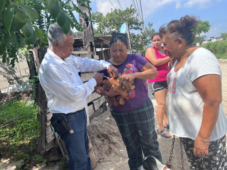 Aplicará la Secretaría de Salud más de 300 mil vacunas a mascotas