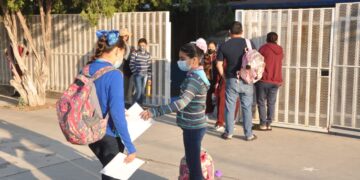 Diputada de Morena pide que menores de edad de Tamaulipas reciban educación ambiental y aprendan a respetar a los animales