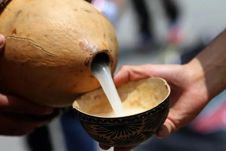 Declaran ‘proceso de elaboración del pulque’ como Patrimonio Cultural Inmaterial de la CDMX