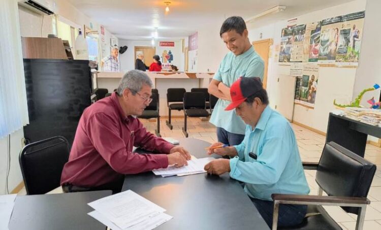 Amplían ventanillas para apoyo de sorgo, trigo y diésel