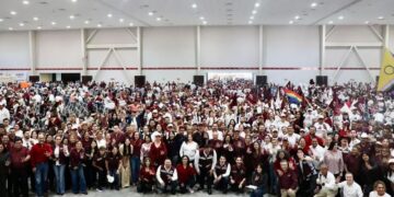 Cimbra morena Tamaulipas la capital del estado