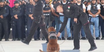 Realizan en la USJT exhibición de agrupamientos canino y montada de la SSPT