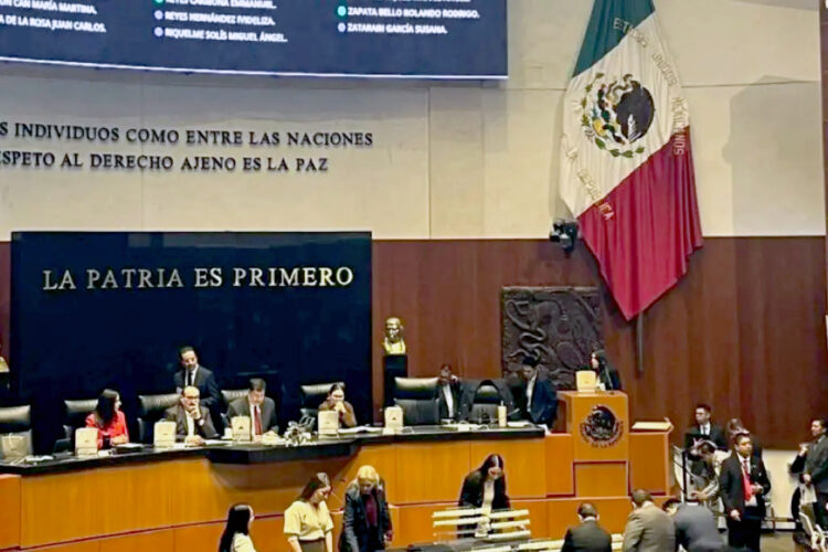 Senado inicia proceso para definir los cargos de jueces y magistrados que se elegirán en 2025