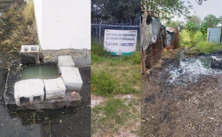 Colapsa drenaje en varias viviendas de la Col.Ampliación Chapultepec en Ciudad Victoria