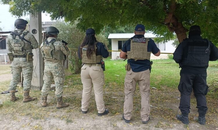 En Soto la Marina SEDENA y Guardia Estatal catean casa y encuentran bolsas con hierba verde con características similares a la marihuana