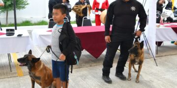 Participa SSPT en Jornada por la Paz ‘’Cerca de tu Hogar’’